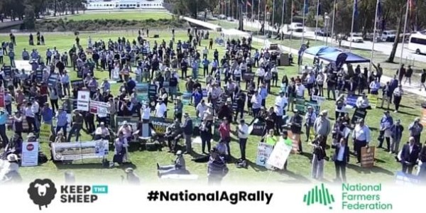 Australian Sheep & Wool News | Sheep Central