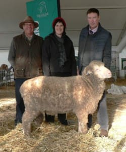 The $10,000 One Oak Poll ram with from left, Michael Elmes, classer, Narrandera, NSW Felicity Brady, Stavely Park Poll, Stavely, Vic and Alistair Wells One Oak Poll, Jerilderie, NSW.
