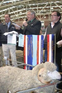 Grathlyn's $25,000 ram was sold with MERINOSELECT figures at Bendigo.