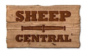 Sheep-Central-Logo-Timber-clean