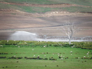 irrigation Tasmania southern midlands