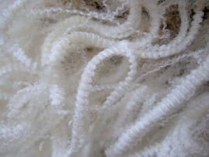 wool fibre generic