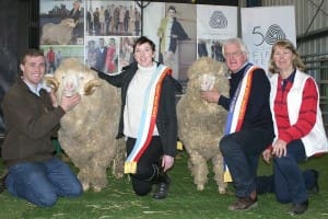 Ewes - Merino - Supreme - Sheepvention 2014