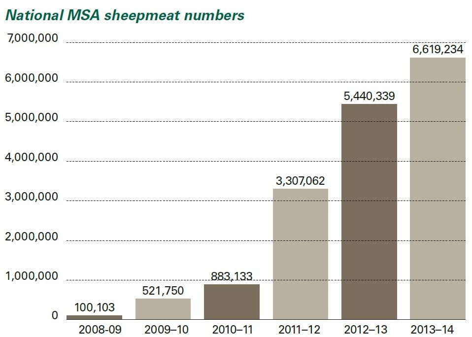 MSA Sheep grading numbers 2013-14