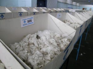 Wool_samples