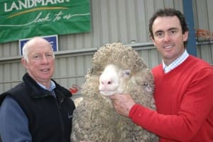 Kerrsville stud Robert Plush, left, led a syndicate that paid $22,000 for Pemcaw stud principal Henry Armstrong's poll ram at the Sheepvention sale.