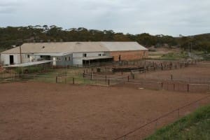 Collinsville Station shearing shed. Courtesy Ray White Clare Valley