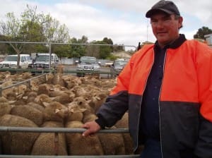 Matthew Wegner from Karoonda with the pen of his 108 sucker lambs that topped the sale at $138.00.