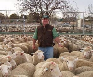 Luke Atton, Ouyen, Landmark livestock manager