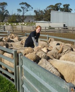 Murdoch University (WA) post-graduate student Meghan Cornelius.