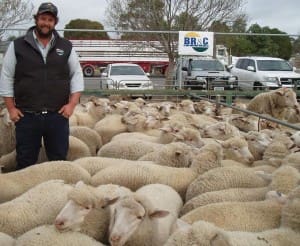 Ouyen lambs BR&C agent Rory Singleton, Burns lambs $127.20