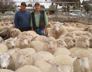 Ouyen lambs Wally Towk, Michael Fernandez LMK, $140.60