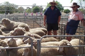 BRC Ouyen agent Rory Singleton, left, with client John Cattanach whose young Merino cross lambs topped the Ouyen sale at $119.60.