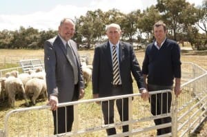 At Katanning for the announcement of the Sheep Industry Business Innovation project are DAFWA Sheep Industry Development Director Bruce Mullan, Agriculture and Food Minister Ken Baston and Sheep Industry Leadership Council chair Rob Egerton-Warburton