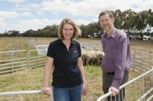 Speakers at the More Sheep forum held in Katanning, Kimbal Curtis and Lucy Anderton, of the Department of Agriculture and Food.  