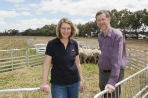 Speakers at the More Sheep forum held in Katanning, Kimbal Curtis and Lucy Anderton, of the Department of Agriculture and Food.