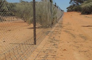 Dog proof fencing. 