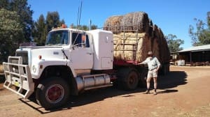 Walgett woolgrower James Foster with a load of donated hay.