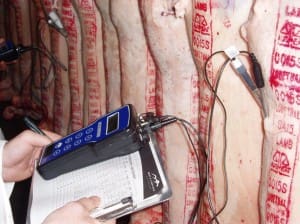 lamb processing MSA pH testing grading