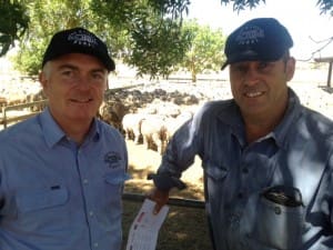 Fox and Lillie Rural agent Eamon Timms, left, with Merino ewe buyer Rob Lawrance at the Salt Creek sale.