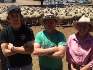 Salt Creek first cross ewe buyers, from left, Wayne and Chris Bruty, with Elders Ballarat agent Kirsty Taylor, paid $214 for 2013-drop ewes yesterday.