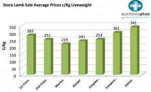 2015-1-16-AP-store-lamb-av-prices-c-kg