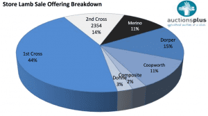 2015-1-16-AP-store-lamb-sale-offering-breakdown
