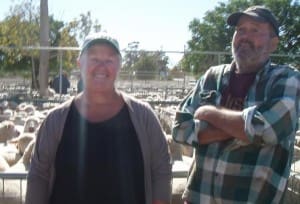 Ouyen lambs Marg and Duke Nicholl Jan29-15