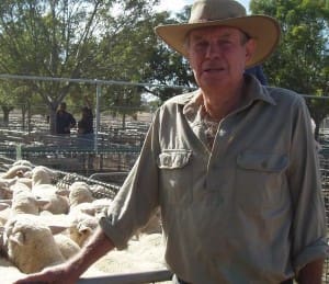 Ouyen lamb producer Ian Marshall topped this week's with his $177 crossbred lambs