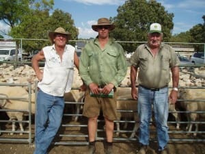 The Healy brothers from Euston, Pat (left) and Ray, with Landmark agent Tim Ferguson, sold 1600 head at Ouyen this week.