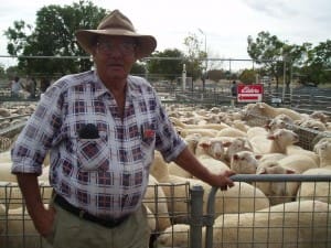 Karrawinna producer Rob Bennett sold 69 crossbred lambs for $170.60 at Ouyen this week.