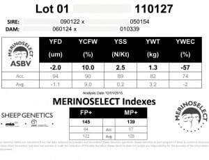 RamsalepencardFeb18-15