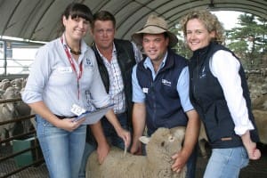 At the recent AuctionsPlus assessors school at the Australian Lamb Company's Colac plant, were from left, AP market operations officer Anna Adams, Rodwells agents Ryan Hussey and Blair O'Toole, and AP CEO Anna Speers. 