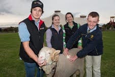 National Merino Challenge 2014 participants, from left, Nicholas White, La Trobe University; Dione Howard, Charles Sturt University; Cat Worner, Charles Sturt University; Jack Turner, Yanco Agricultural High School.