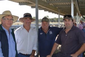 Gippsland Flock of the Year judges, from left, Phil Toland and Michael Collins, with winners Garry and Scott Davidson.