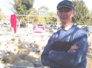 Tiega producer Bill Morrish sold lambs for $156 at Ouyen on Thursday.