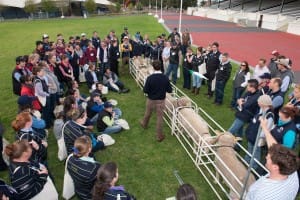 National_Merino_Challenge2014Mar2-15