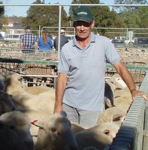 Tempy producer Terry Monaghan topped the Ouyen market with his $167 crossbred lambs this week.