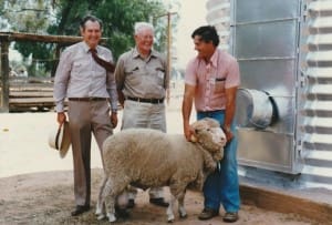 GRASS Merinos founders in 1981, from left, Graham Peart, Andy O'Brien and Greg O'Brien.