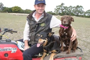 Joe Spicer with his 2015 Australian yard dog champion Go Getta Brue and third placegetter Token.