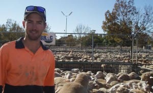 Tempy lamb producer Ryan Monaghan sold crossbred lambs for $166-$168 at Ouyen on Thursday.