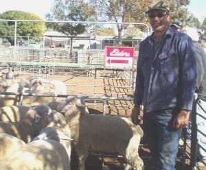 Bronzewing lamb producer Scott Anderson sold crossbred lambs for $170 t Ouyen on Thursday.