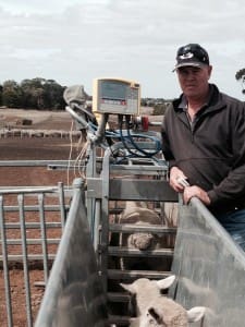 Southern Prime Lamb Group president Leigh Harry.