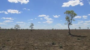 A droughted paddock near Longreach in Central Western Queensland.