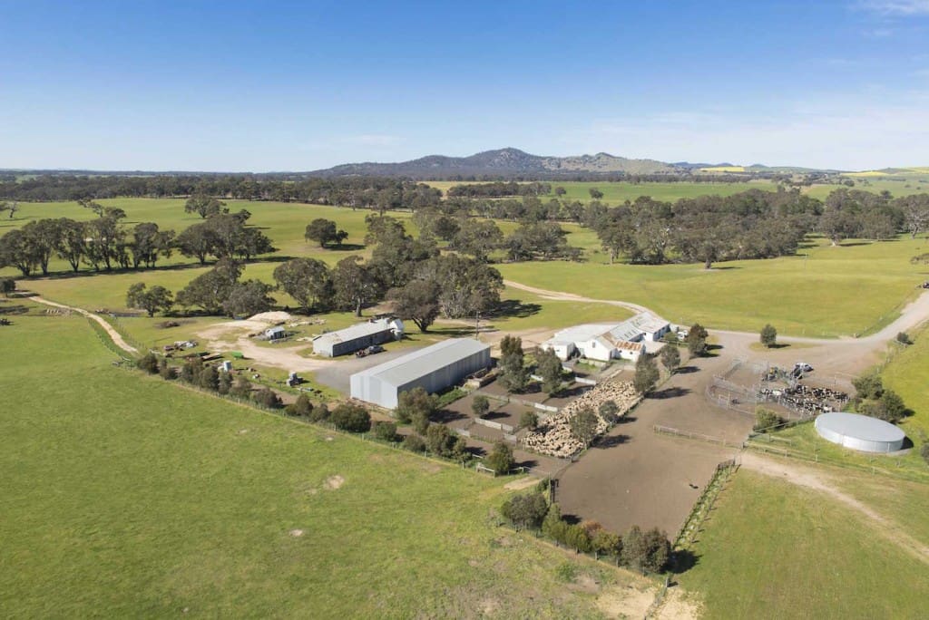 Aerial shearing shed and yards 05 1