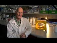Professor Phil Batterham, at the University of Melbourne School of Biosciences.