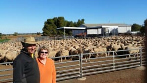 West Wyalong woolgrowers Jeff and Elizabeth Gould. 