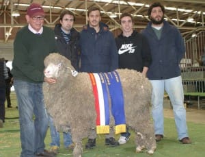 Coddington Uardry co-owner Graham Coddington left, hold his $14,000 ewe for Argentinians Mauricio Rampedia, Emiliano Lopez, Guido Filippa and Joaquim Alonso.