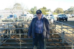 Torrita lamb producer Dennis Stone sold his crossbred lambs for $155 at Ouyen on Thursday.