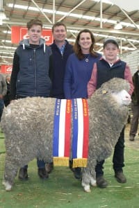The Miller family, Will, Rod, Sue and Harry, with their grand champion Merino ewe.